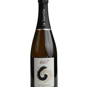 667 - Alta Langa - Metodo Classico - Bubbelwijn - La Baretta - DOCG 2016