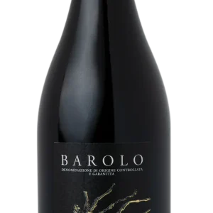 Barolo DOCG Boeri 2019 Castiglione Falletto
