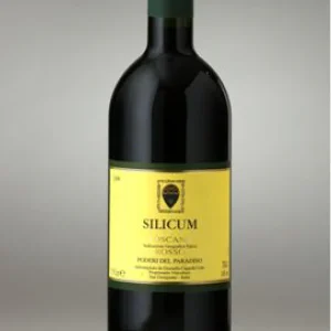 Silicum 2023 - Poderi del Paradiso - 50% Merlot - 50%Syrah
